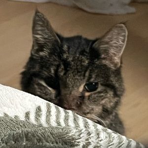 Meet your Posher, Lucas